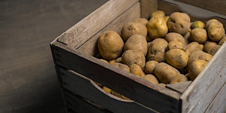 Potato Day at Bonnymuir Green with One Seed Forward tickets