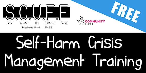 Online Self-Harm Crisis Management Training PART 2