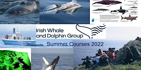 Irish Whale & Dolphin Group Weekend Whale Watching/Identification Course tickets