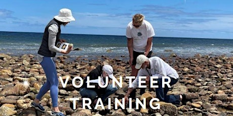 Reef Watch Intertidal  Volunteer Training & Monitoring