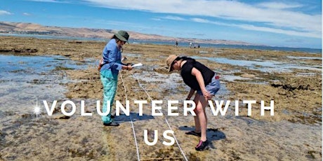 Reef Watch Intertidal  Survey  - Volunteer Training & Monitoring tickets