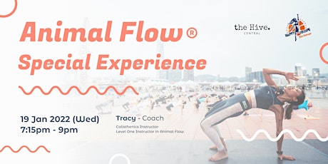 the Hive Central x Happy Recipe | Animal Flow Experience tickets