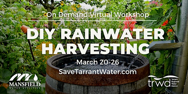 DIY Rainwater Harvesting Workshop