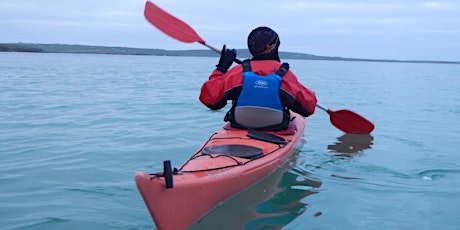 Wildlife from the water primary image