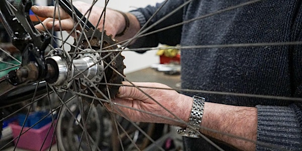 Beginner Bike Maintenance Workshop
