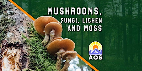 Mushrooms, Fungi, Lichen and Moss tickets