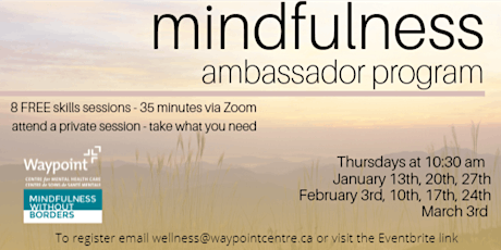 8 Week FREE Mindfulness Ambassador Skills Program