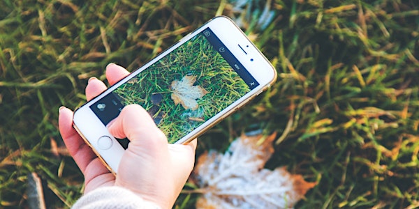How to Take Great Photos with your Smartphone