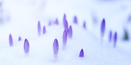 Sacred Winter, Garden Within: A Virtual Workshop tickets