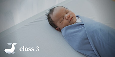 Online Class - Infant Sleep 101