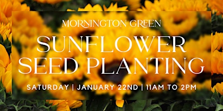 Sunflower Seed Planting Day, Mornington Green tickets