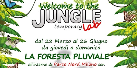 Immagine principale di Welcome to the Jungle. TemporaryLab interattivo sulla biodiversità delle foreste pluviali 
