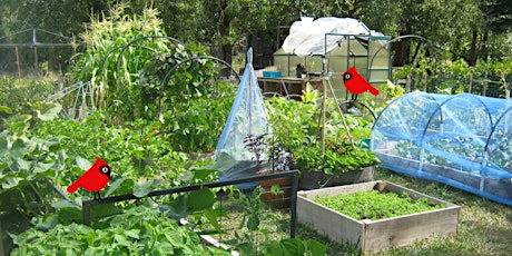 Vegetable Gardening for the Perplexed tickets