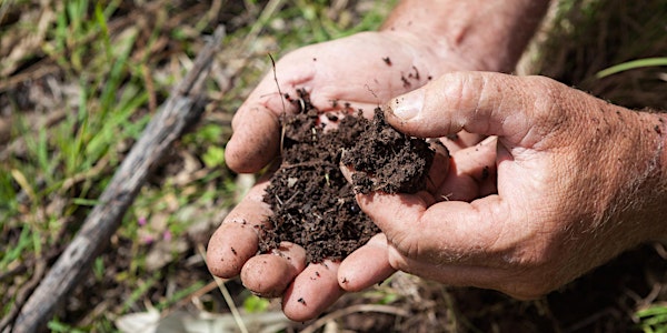 Restoring Earth