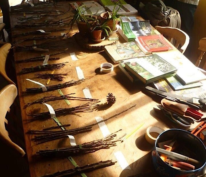 The Art of Grafting: Grafting and Propagating Heritage Fruit Trees image