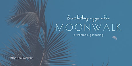 Moon Walk: Forest bathing + Yoga Nidra (a women's gathering) tickets