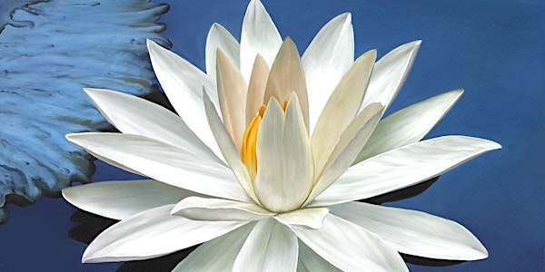 Healing the Shadow & Our Disowned Selves -Michael Milner & Suzanne Champlin