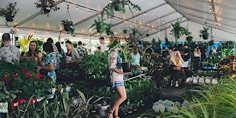 Adelaide - The FOMO FOGO Virtual Indoor Plant Sale! tickets