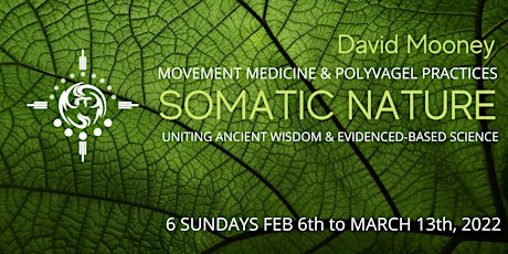 SOMATIC NATURE with David Mooney | Movement Medicine &  Polyvagel Practices primary image