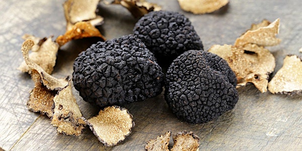 Cooking with Truffles