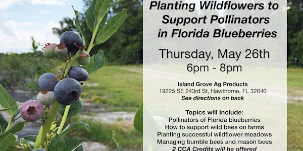 FL Blueberry Pollination Field Day