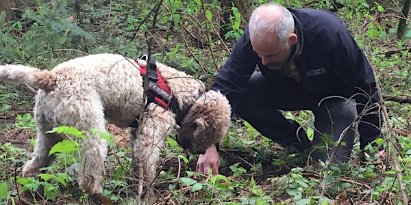 Truffle Harvesting Using Trained Dogs
