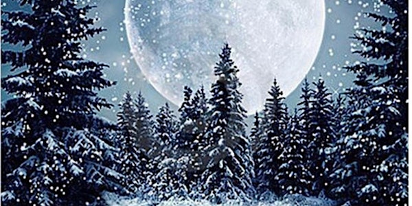 Paint and Sip  " Winter Moon "