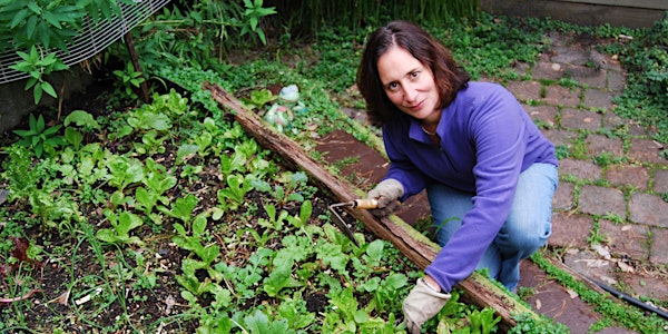 Setting Up and Maintaining Your School Veggie Patch