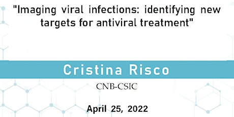 Imaging viral infections: identifying new targets for antiviral treatment entradas