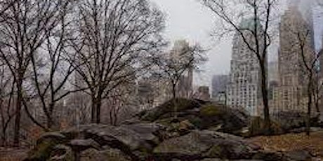 Central Park In Winter Private History Tour W/ Dave tickets