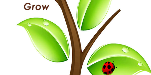 Ready, Set, Grow: Educational Gardening Conference