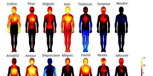 Atelier Zoom - Apprendre le message des émotions par le corps