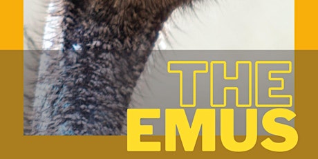 Exponential Festival Presents: The Emus tickets