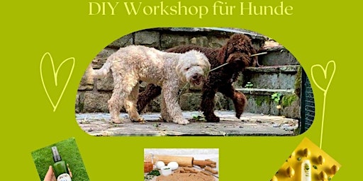 DIY Workshop für Hunde
