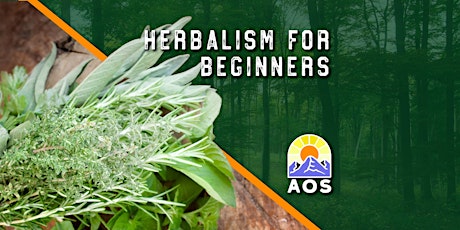 Herbalism for Beginners Course primary image
