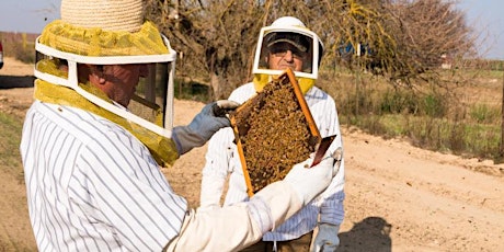 March  - ONLINE Introduction to Beekeeping Class at The Bee Store tickets