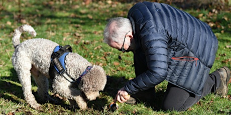 Truffles: Cultivation and Harvesting with Truffle Dogs tickets