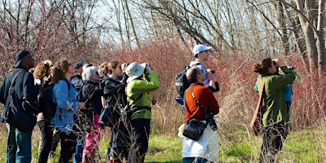 Tommy Thompson Park Spring Bird Festival primary image
