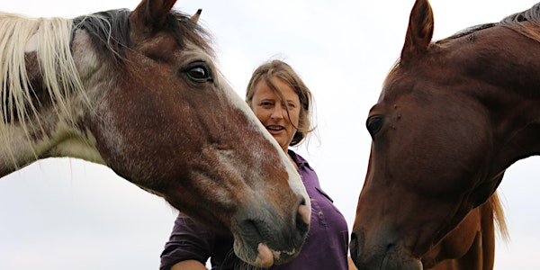 Ätherische Öle im Stallmanagement für Pferde