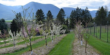 Gardening with  GROW!: Planning and Planting an Orchard in Boundary County primary image