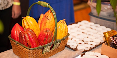 Cacao Growing and Fermentation Competition