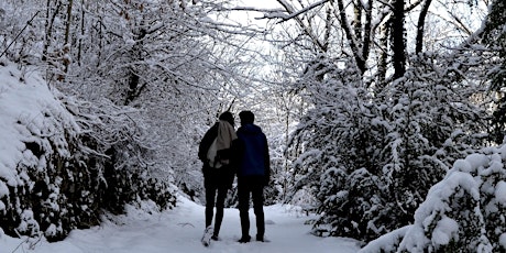 Hauptbild für Life Mapping - Celebrating the Winter Solstice 2022