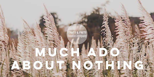 MUCH ADO ABOUT NOTHING | S&F