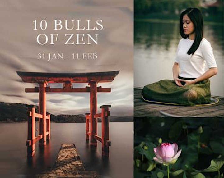 10 Bulls of Zen: Online Meditation Course image