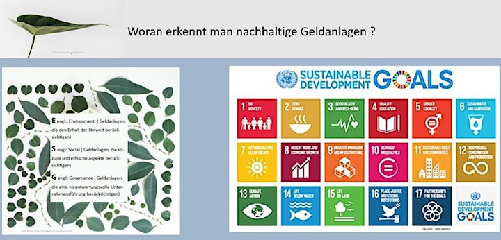Nachhaltige Geldanlagen - grün, sozial, ethisch korrekt - 14:00 Uhr Webinar: Bild 