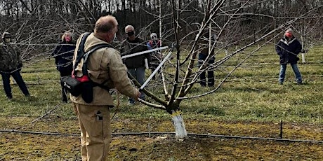 Fruit Tree Pruning at Buster Sykes Farm tickets