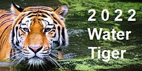 Meditation Journey to Welcome the New Year Of the Water Tiger primary image