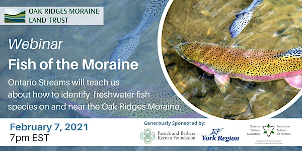 Fish of the Moraine