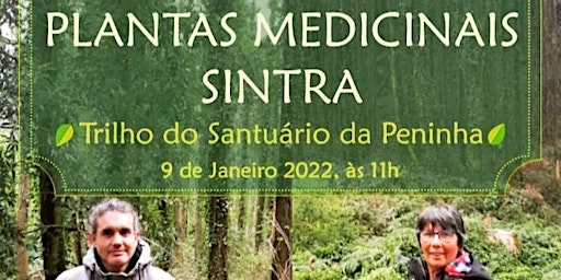 Imagem principal de Passeio Plantas Medicinais, Peninha, Sintra - Fernanda Botelho e João Beles