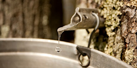 Maple Sugaring- Family Program ages 5+, $4 per person upon arrival tickets